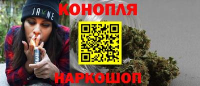 шишки Аша