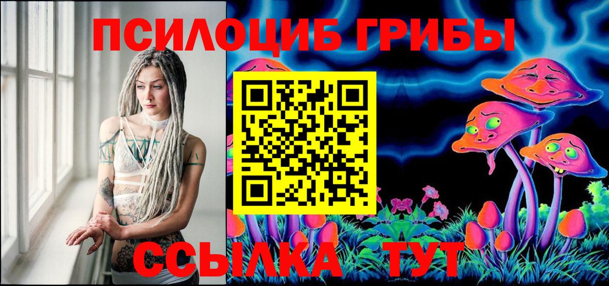 Аргун  дарнет шоп  Вход с VPN  Псилоцибиновые грибы мухоморы 